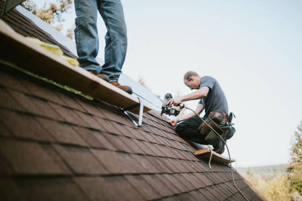 Trusted Collinwood, TN Roofing Contractor Experts